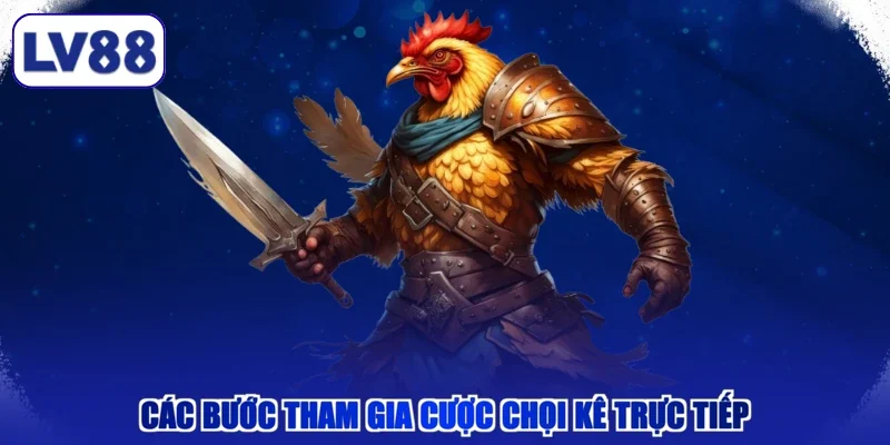 Các bước tham gia cược chọi kê trực tiếp