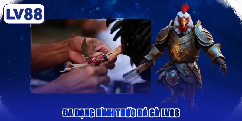 Đa dạng hình thức đá gà LV88