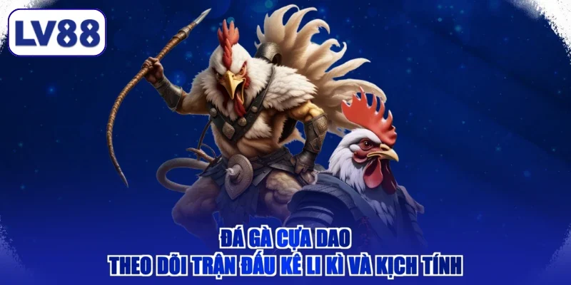 Đá Gà Cựa Dao - Theo Dõi Trận Đấu Kê Li Kì Và Kịch Tính