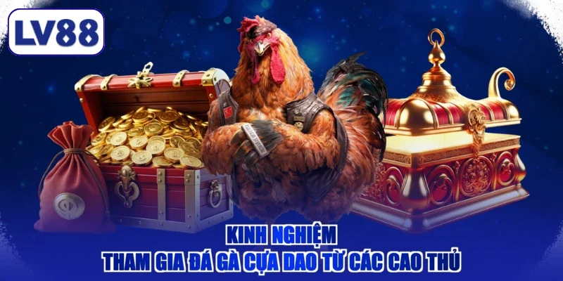 Kinh nghiệm tham gia đá gà cựa dao từ các cao thủ
