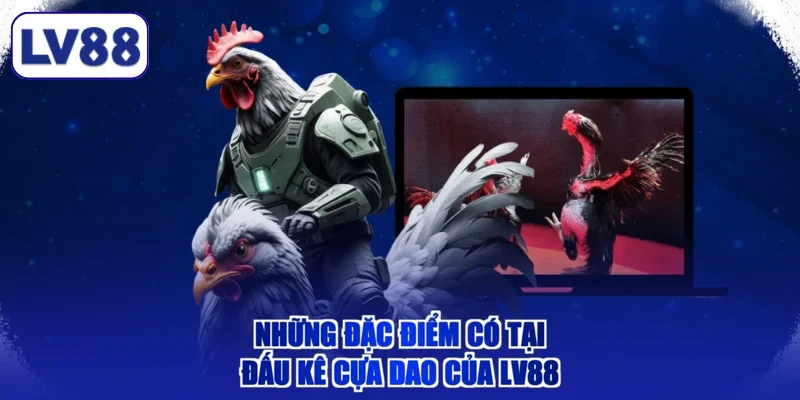 Những đặc điểm có tại đấu kê cựa dao của LV88