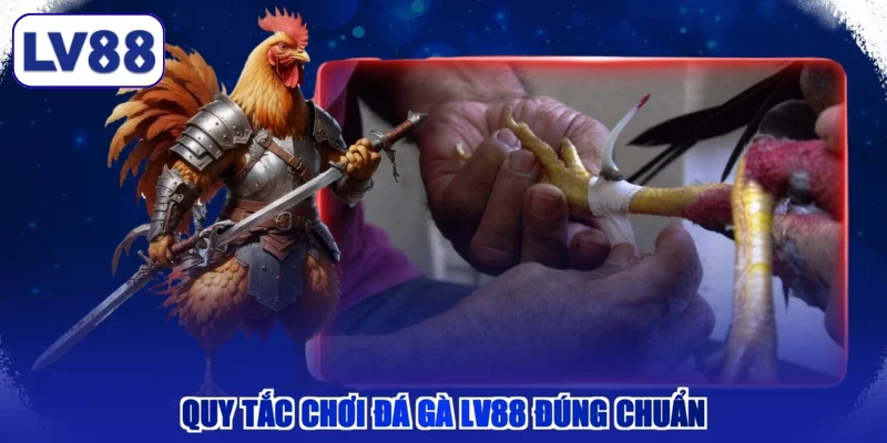 Quy tắc chơi đá gà LV88 đúng chuẩn