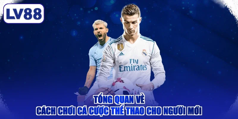 Tổng quan về cách chơi cá cược thể thao cho người mới