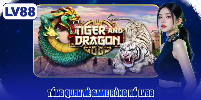 Tổng quan về game Rồng Hổ LV88