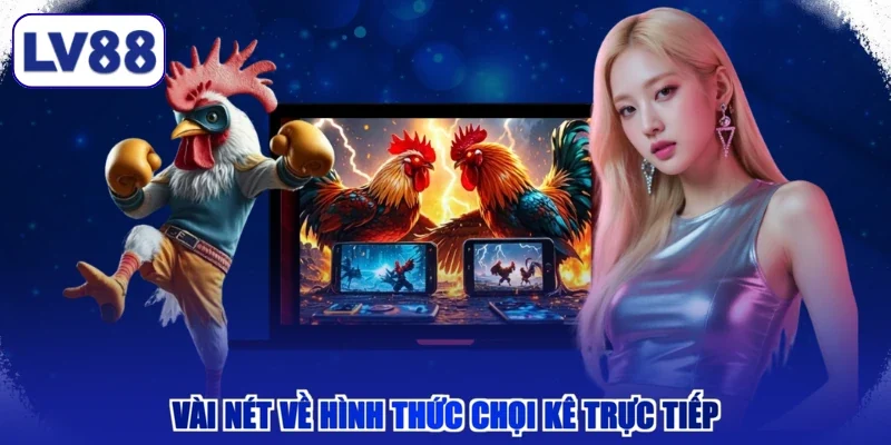 Vài nét về hình thức chọi kê trực tiếp